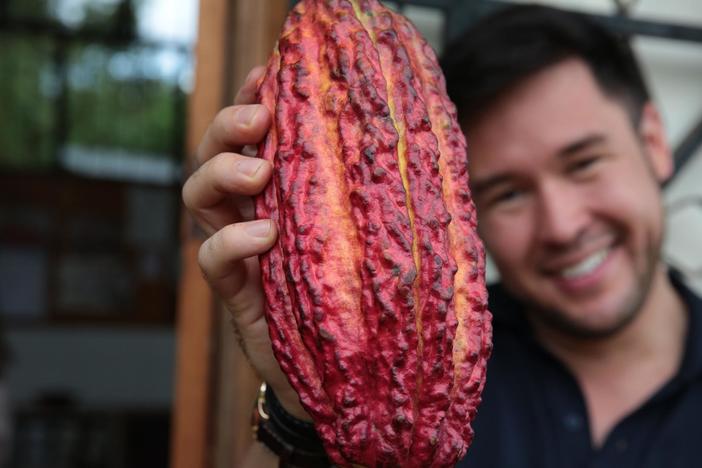 In this episode, explore the effect of food the brain, one of the body's greediest organs.