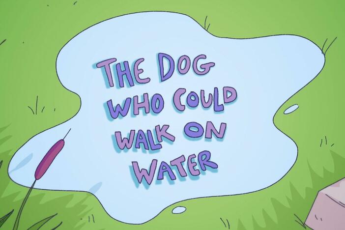 A folktale about two friends who argue over whose dog is best.