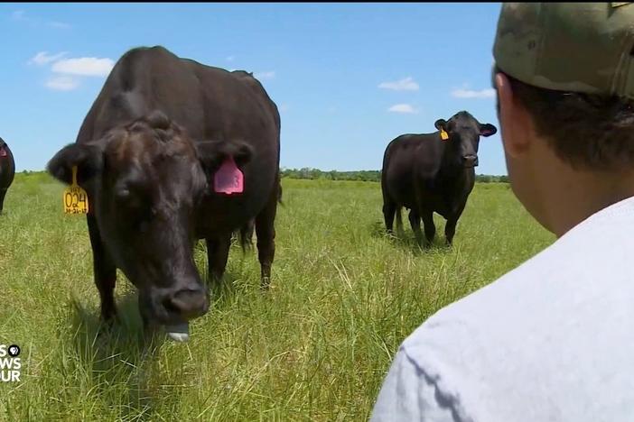 Shutdown comes at a 'tough time' to be an American farmer