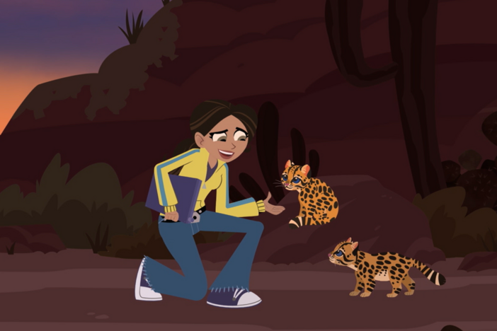 Aviva heads to the desert to find no named Ocelot babies