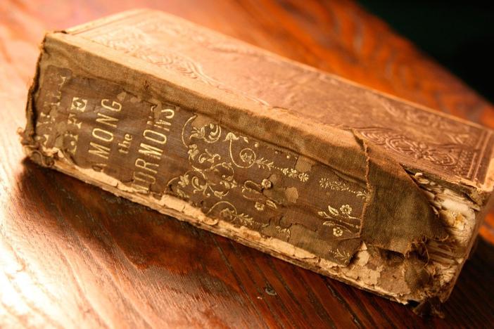 Is this tattered book a true account of female slavery in the old West?