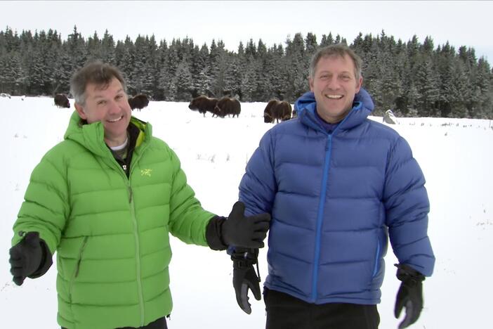 The Kratt Brothers introduce us to some amazing Christmas creatures!