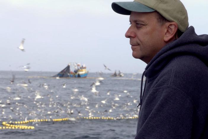 Author Paul Greenberg spends a year eating fish and investigating the health of the ocean.