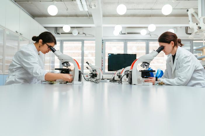 Pervasive sexual harassment takes toll on women in science