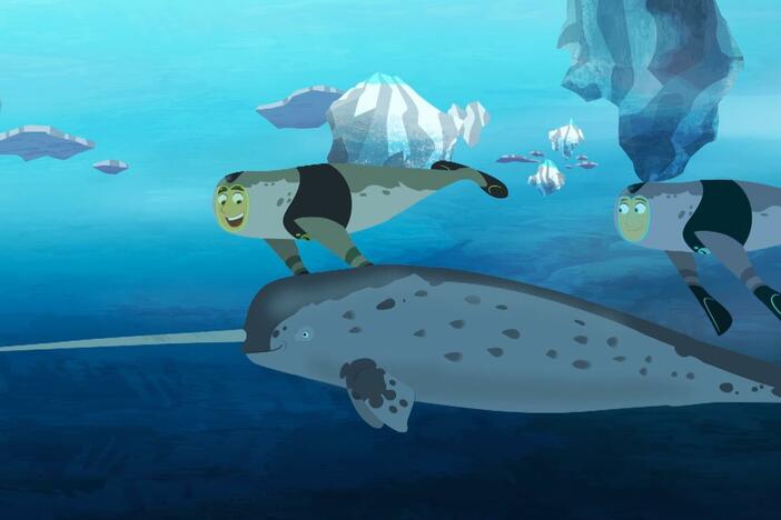 The Kratt bros solve the narwhal horn mystery.