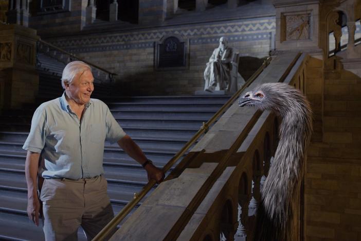 Sir David Attenborough explores London’s Natural History Museum, where extinct creatures come alive.