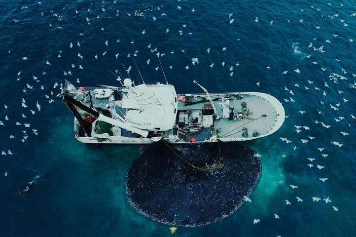 Dr. Odd Nakken and Rolf Helge discuss the recovery of Norway's cod stock.