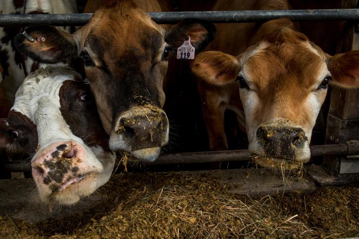 News Wrap: Senate passes farm bill after months-long stall