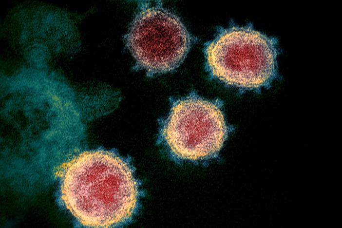How a COVID vaccine might work -- and the challenges of distributing it