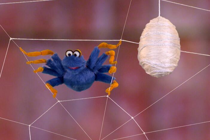 A spider sings a new and revised rhyme of 'The Itsy Bitsy Spider'.