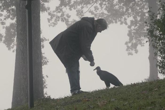 Jayne sees herself in the vulture that captivates a town.