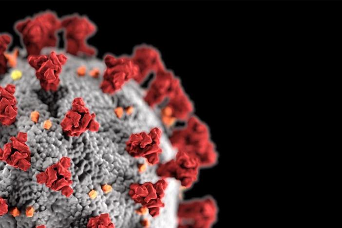 Scientists race to understand and defeat the coronavirus behind the COVID-19 pandemic.