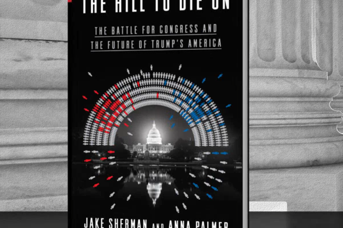 What can we learn from this new book?