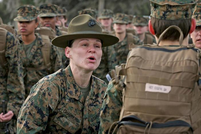 AMERICAN VETERAN traces the veteran experience across the arc of American history.