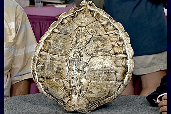 Appraisal: Carved Turtle Shell, from Vintage Salt Lake City.