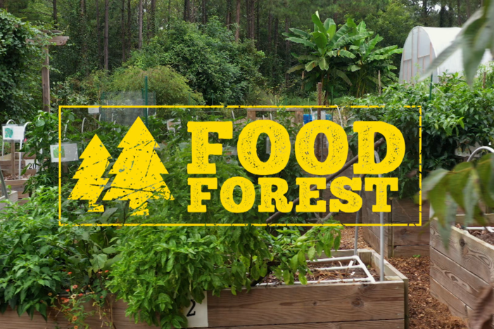 Atlanta has the largest food forest in the nation. It's all about getting people healthy.