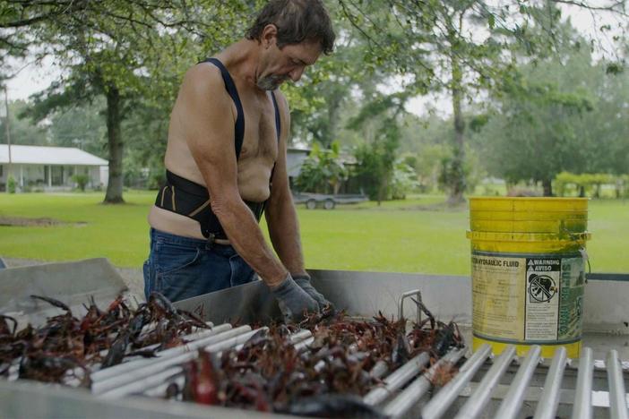 Reckless development forces crawfishermen to speak out to save their way of life.