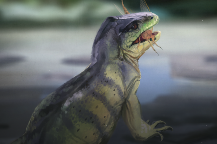 This is Lizards' Fascinating And Competitive History.