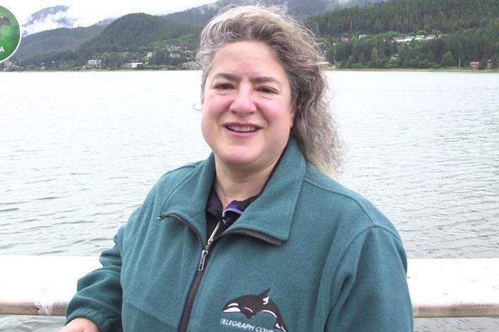 Dr. Joy Reidenberg talks about about orcas in Alaska.