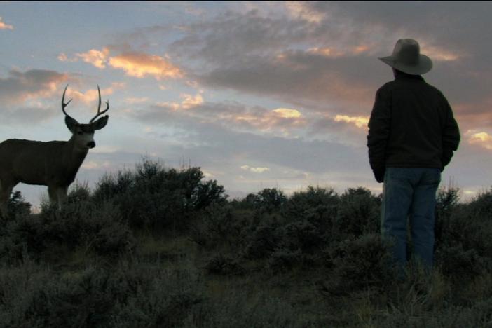 For Joe Hutto, there is no such thing as conducting a typical research project. 