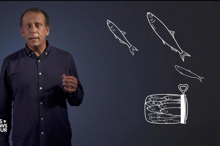 Author Paul Greenberg on why Americans should eat more fish