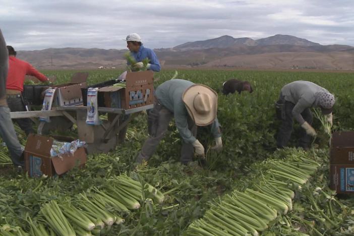The US has a 'thirst' for immigrant workers. Why do so many struggle to get legal status?