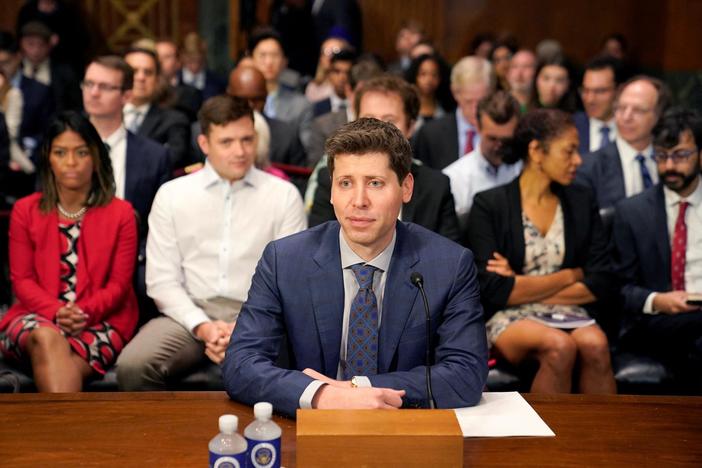 Why artificial intelligence developers say regulation is needed to keep AI in check