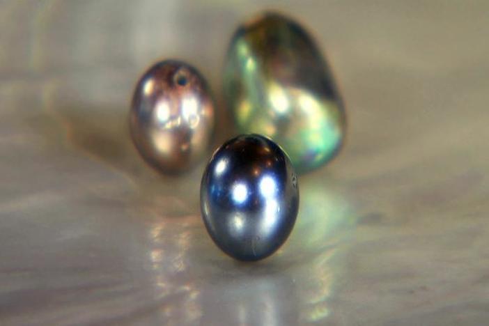 More of host Mark Walberg's discussion of pearls with appraiser Kevin Zavian.