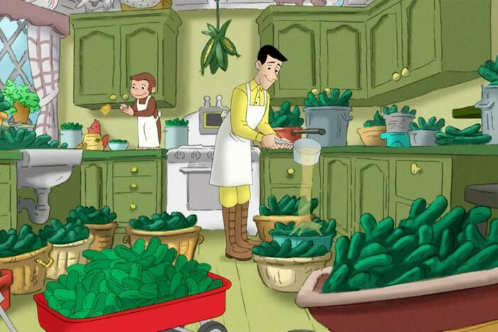 George learns how to turn cucumbers into pickles. / George visits astronomer Mr. Griggs.