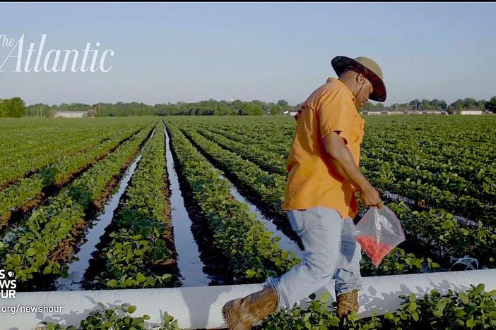 How southern black farmers were forced from their land, and their heritage