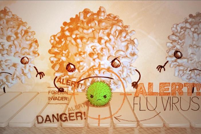 Vaccines work with our immune system to keep us from getting sick.