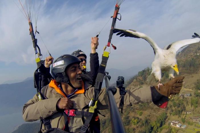 This five-part series takes a fresh look at humankind’s relationship to the planet. 