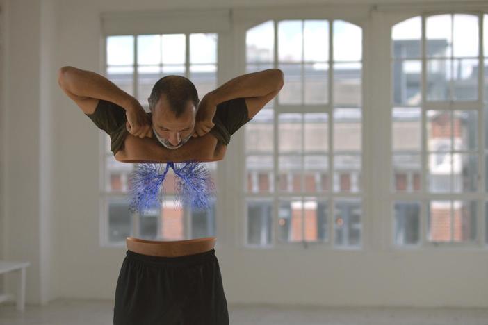 Explore the internal mechanics of the human body.