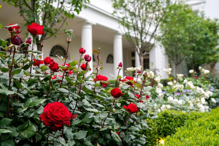 Washington Week Extra for May 22, 2020
