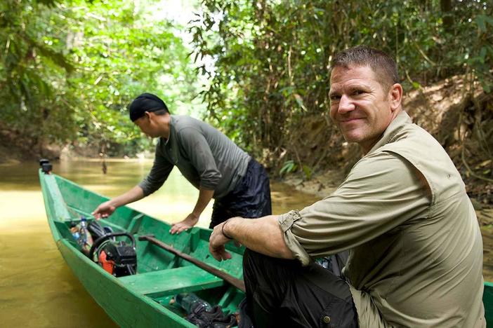 Follow Steve Backshall into a Bornean cave system.