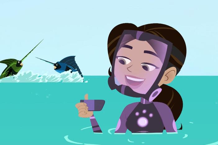 Aviva has finished the Billfish Creature Power discs.