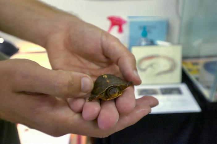 Despite what you see in cartoons, not all Park Rangers say “Hey, Boo Boo!”  