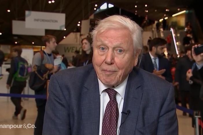 Sir David Attenborough speaks about the fight against climate change.