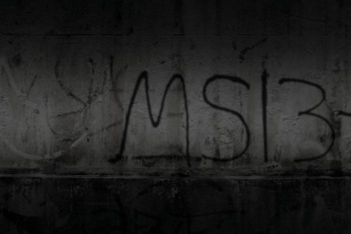 How a slew of killings linked to MS-13 led to a crackdown that swept up immigrant teens.