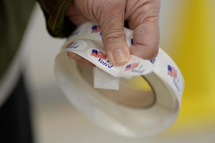 Election surveys highlight important issues that led to voters' decisions in midtermsAMY