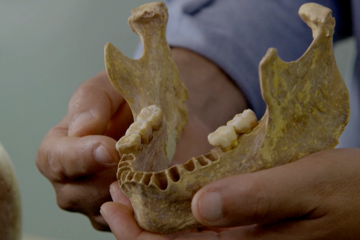 When Homo sapiens turned up in prehistoric Europe, they ran into the Neanderthals. 
