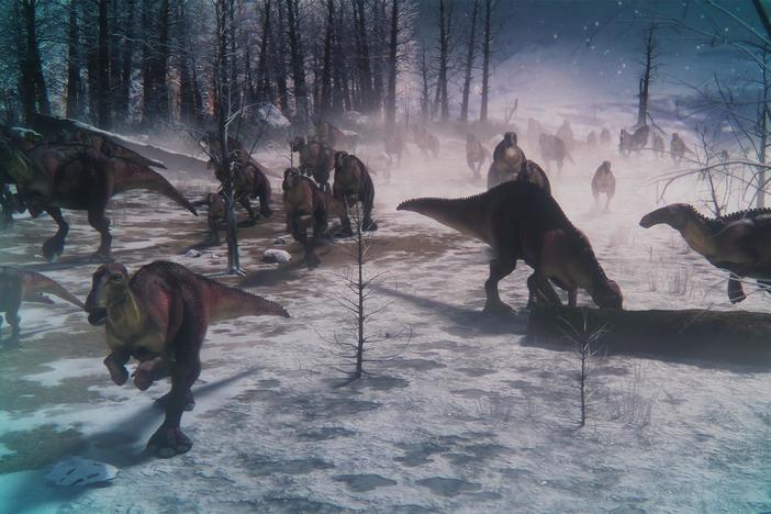 Intrepid paleontologists discover that dinosaurs thrived in the Arctic’s cold and dark.