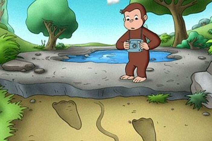 What kind of animal made the mysterious footprints beside the pond?  George investigates!
