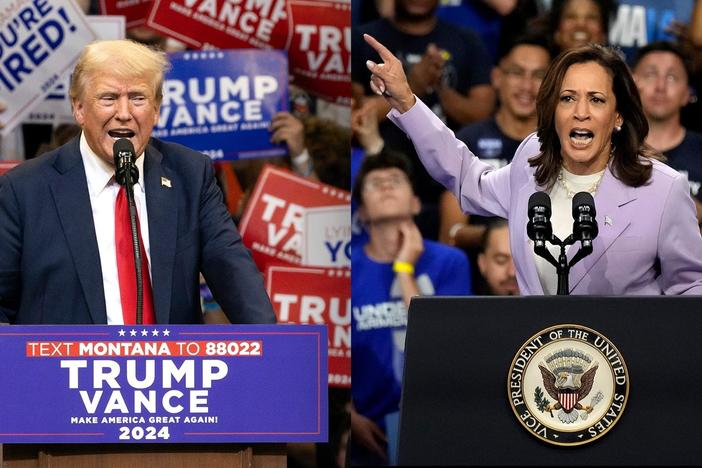 Misinformation and foreign interference concerns loom over presidential race