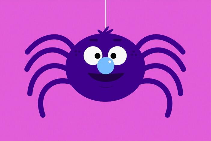 S is for Spiders is an animation that focuses on how special spiders are!