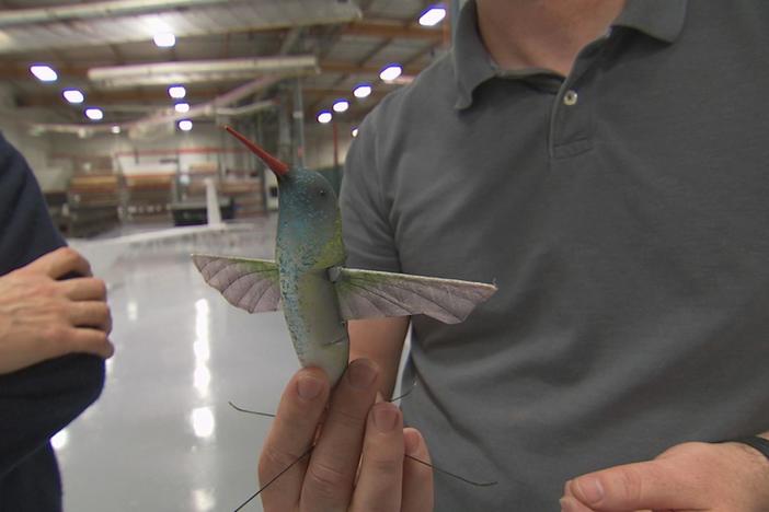 A new drone doesn't fly like an airplane or helicopter—it flaps its wings like a bird.