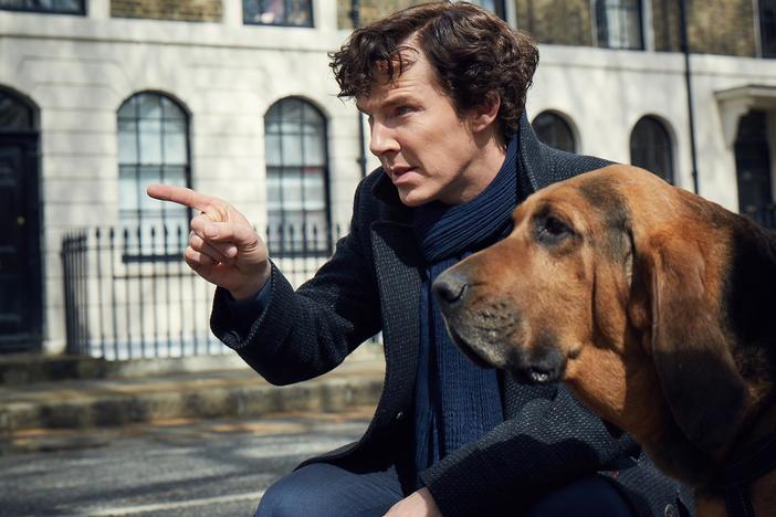 The cast on working with Episode 1's dog.