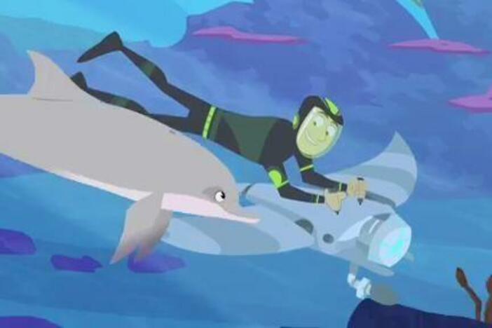 Chris and Martin get their signals crossed trying to communicate with dolphins.