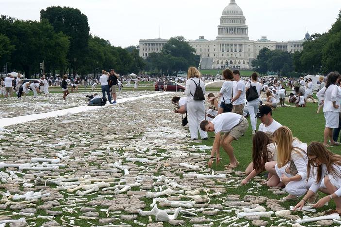 Volunteers covered the National Mall with hand-made bones to raise awareness of genocide.