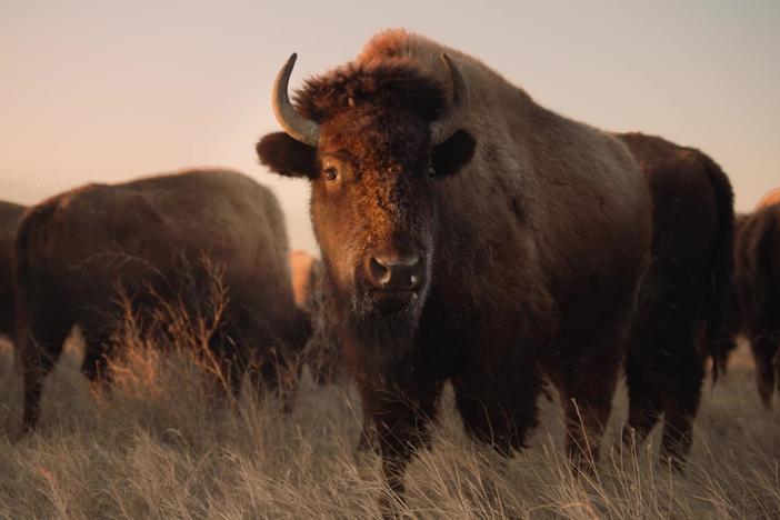 Ken Burns, Julie Dunfey and Dayton Duncan on creating their latest documentary.